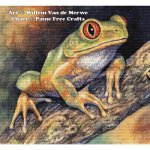 (image for) Forest Tree Frog